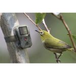 Mini Wildkamera mit Infrarot-Nachtsicht, Lautsprecher, Mikrofon. – Bild 7
