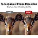 Wildkamera Fotofalle 16 Megapixel,  Wasserdicht, 940nm IR LEDs Nachtsicht, Bewegungsmelder 0,2s Schnelle Trigger, mit 32G Speicherkarte – Bild 4