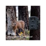 Wildkamera Fotofalle 16 Megapixel,  Wasserdicht, 940nm IR LEDs Nachtsicht, Bewegungsmelder 0,2s Schnelle Trigger, mit 32G Speicherkarte – Bild 5