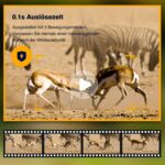 Smart-Trail Z5 WiFi Solar 4K Wildkamera mit 128GB Speicherkarte, 8X Batterien – Bild 10