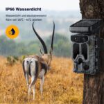 Smart-Trail Z5 WiFi Solar 4K Wildkamera mit 128GB Speicherkarte, 8X Batterien – Bild 6
