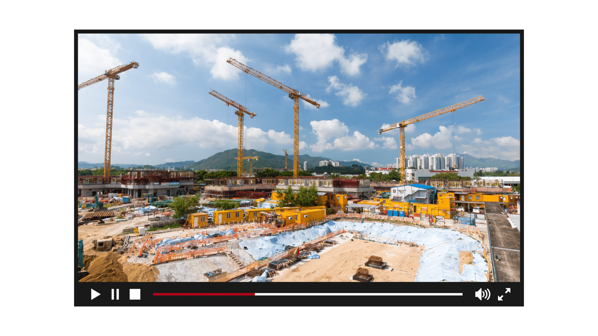 Live Stream