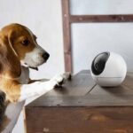 EZVIZ H6 Indoor PT Kamera 3K – Bild 5