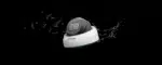 Milesight MS-C8175-PD: 4K AI Weather-proof Dome Kamera – Bild 2