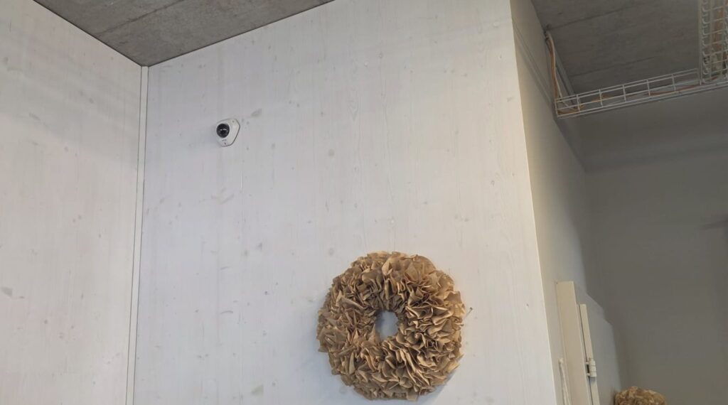 Dezente Kamera im Blumenladen