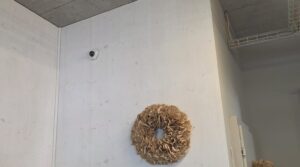 Kleine weisse Ueberwachungskamera dezent in der oberen Wandecke eines Blumenladens an heller Holzwand