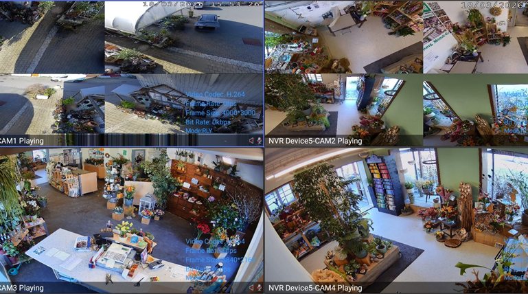 Rekorder-Monitor mit Vierfach-Live-Ansicht aller vier Kameras des Blumenladens: Innenraum mit Pflanzen und Regalen sowie Eingang