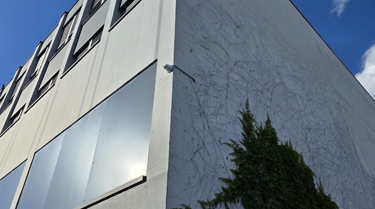 Weiße Turret-Kamera an der Ecke eines mehrstöckigen modernen Gebäudes mit Efeuranken und einem Nadelbaum
